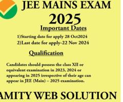 JEE MAINS EXAM 2025